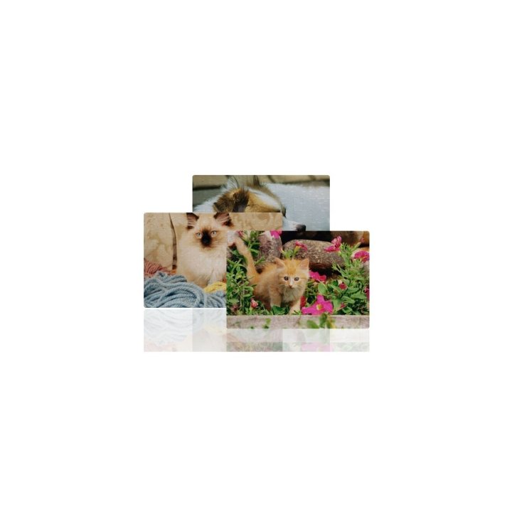 Puzzle Dreptunghi