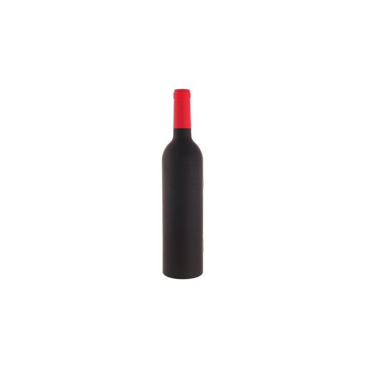 Set accesorii vin